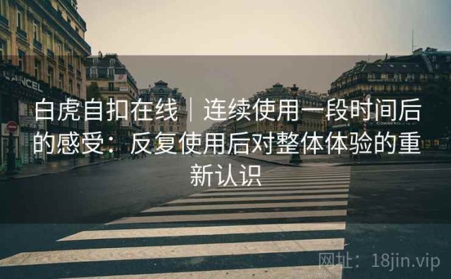 白虎自扣在线｜连续使用一段时间后的感受：反复使用后对整体体验的重新认识