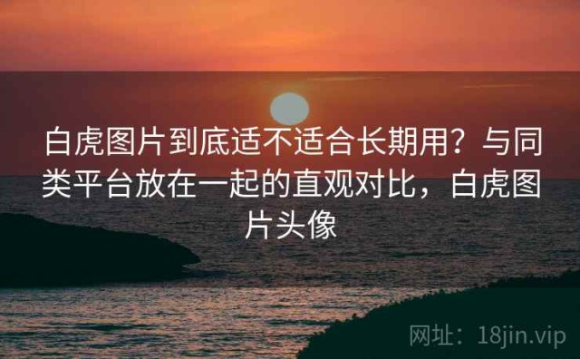 白虎图片到底适不适合长期用？与同类平台放在一起的直观对比，白虎图片头像