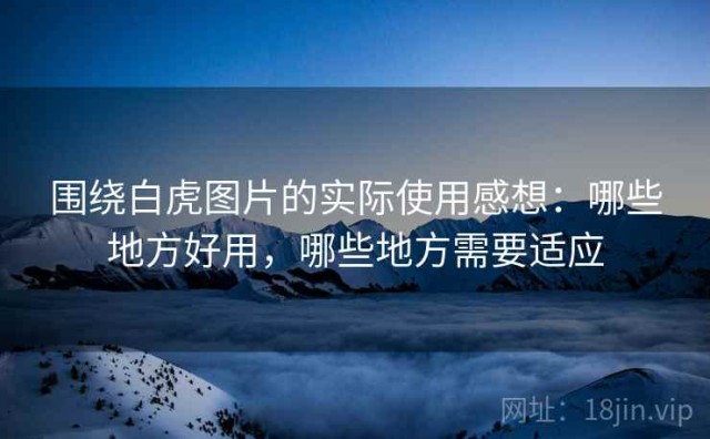 围绕白虎图片的实际使用感想：哪些地方好用，哪些地方需要适应