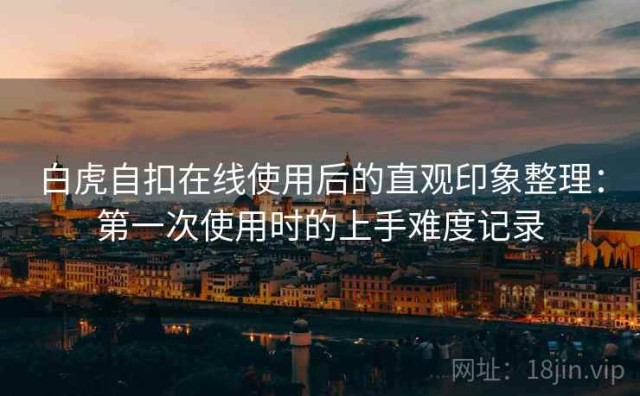 白虎自扣在线使用后的直观印象整理：第一次使用时的上手难度记录