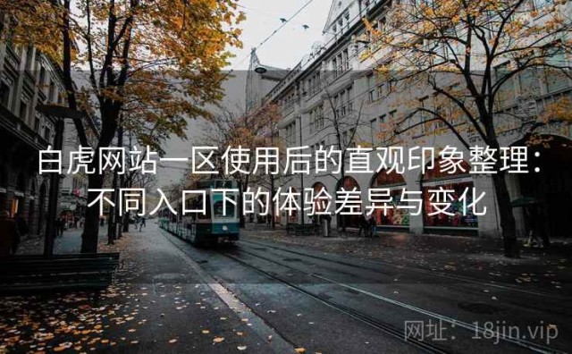 白虎网站一区使用后的直观印象整理：不同入口下的体验差异与变化