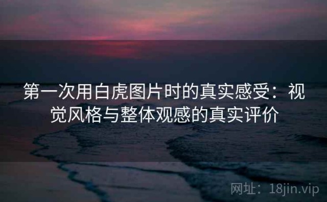 第一次用白虎图片时的真实感受：视觉风格与整体观感的真实评价