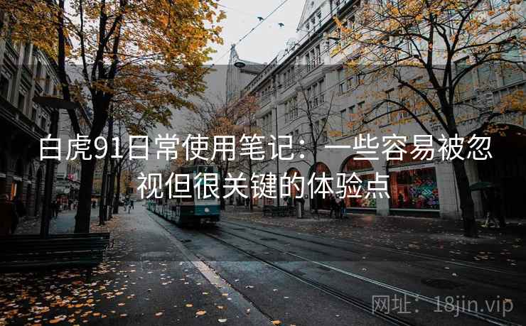 白虎91日常使用笔记：一些容易被忽视但很关键的体验点