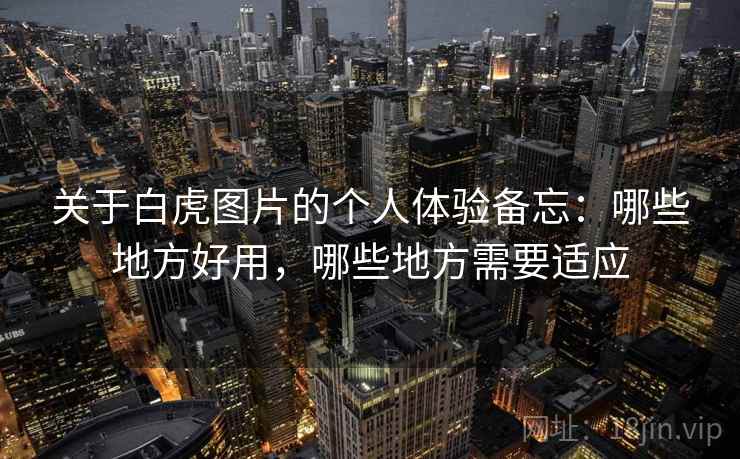 关于白虎图片的个人体验备忘：哪些地方好用，哪些地方需要适应