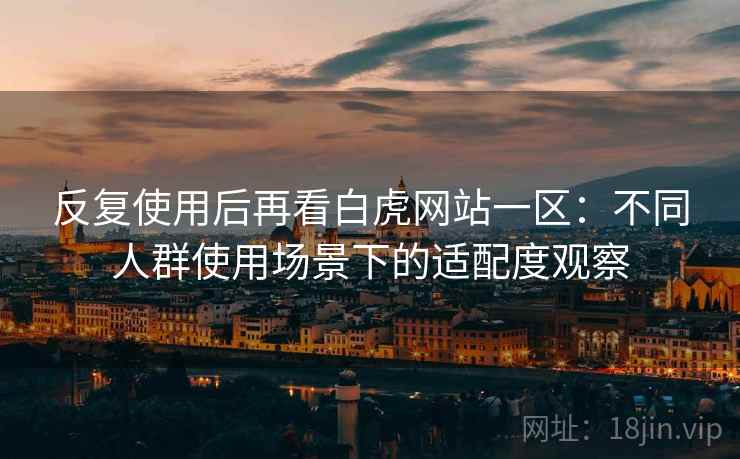 反复使用后再看白虎网站一区：不同人群使用场景下的适配度观察