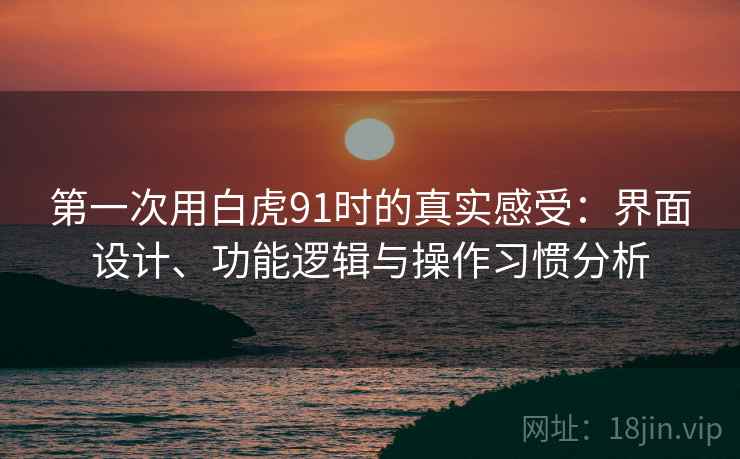 第一次用白虎91时的真实感受：界面设计、功能逻辑与操作习惯分析