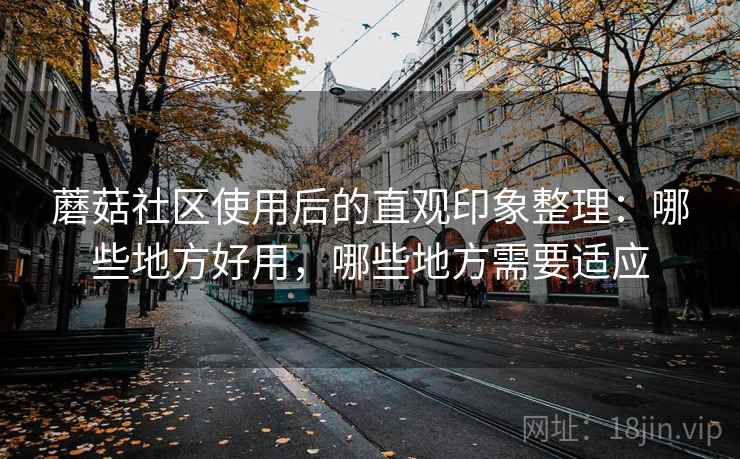 蘑菇社区使用后的直观印象整理:哪些地方好用,哪些地方需要适应 蘑菇社区使用后的直观印象整理:哪些地方好用,哪些地方需要适应