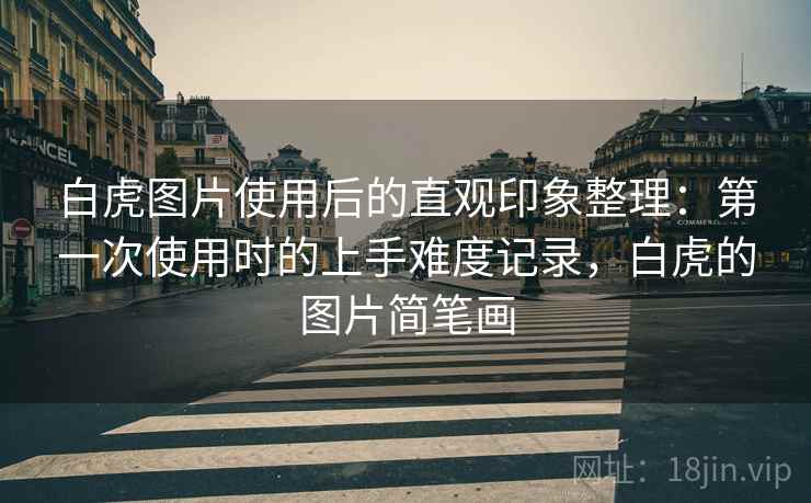 白虎图片使用后的直观印象整理：第一次使用时的上手难度记录，白虎的图片简笔画