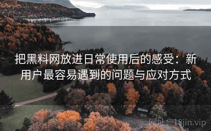 把黑料网放进日常使用后的感受：新用户最容易遇到的问题与应对方式
