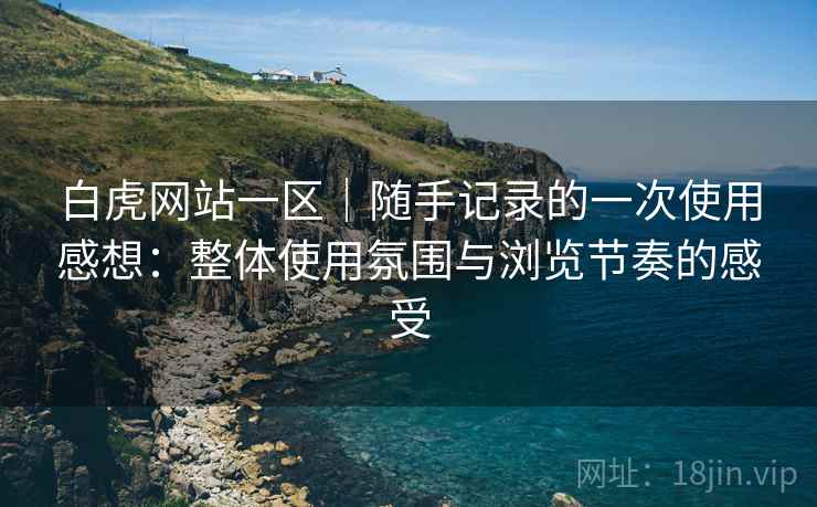 白虎网站一区｜随手记录的一次使用感想：整体使用氛围与浏览节奏的感受