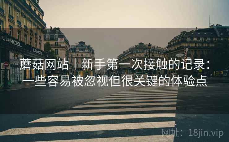 蘑菇网站|新手第一次接触的记录:一些容易被忽视但很关键的体验点 蘑菇网站|新手第一次接触的记录:一些容易被忽视但很关键的体验点